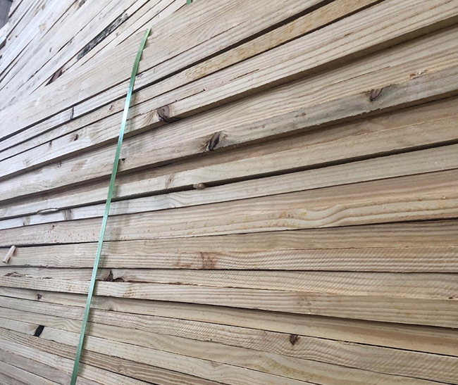 红寺堡巴西松